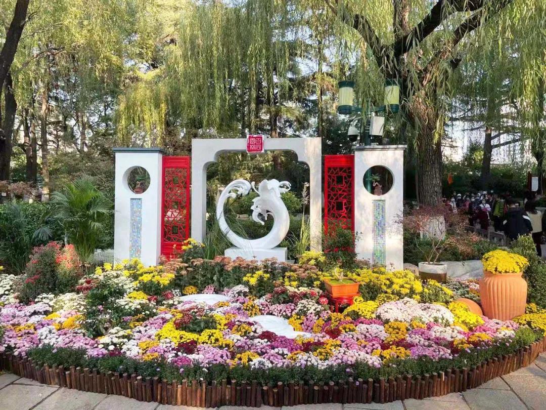 最新四十二式太极音乐,最新四十二式太极音乐，融合传统与现代的韵律之美