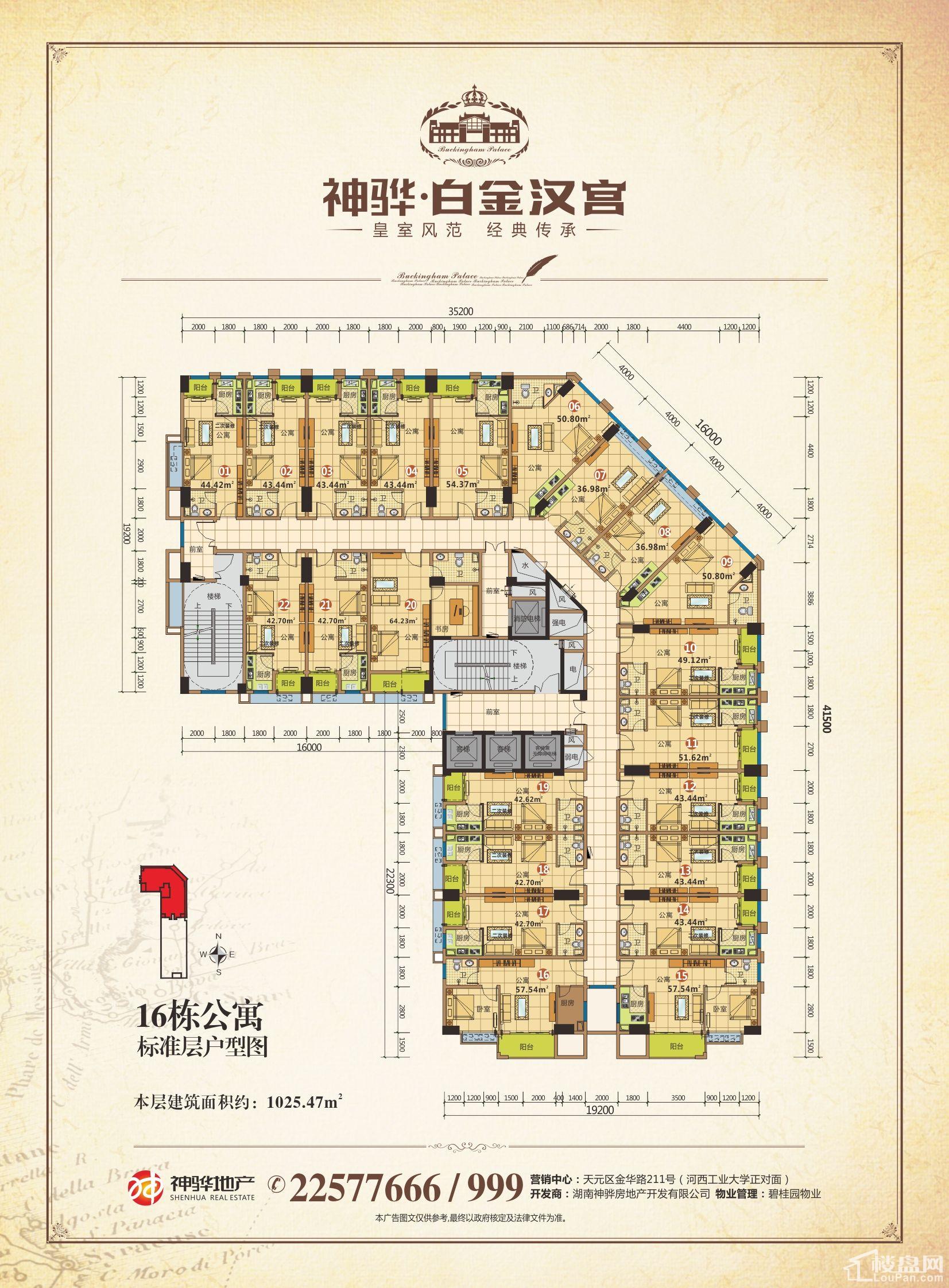 株洲白金汉宫最新消息,株洲白金汉宫最新消息深度解析