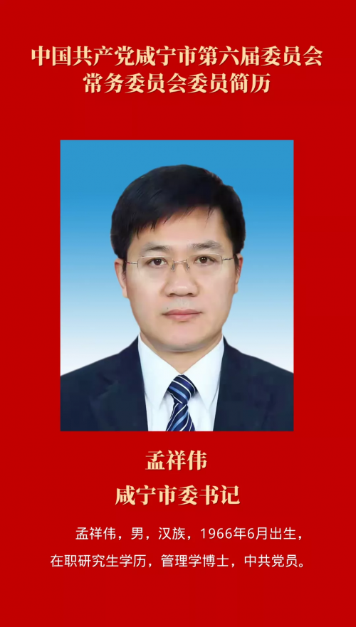 最新宁波市委常委名单,最新宁波市委常委名单解析